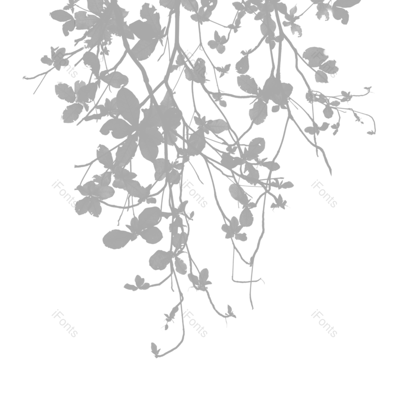 叶子图片,树叶元素,阴影PNG,灰色免抠素材